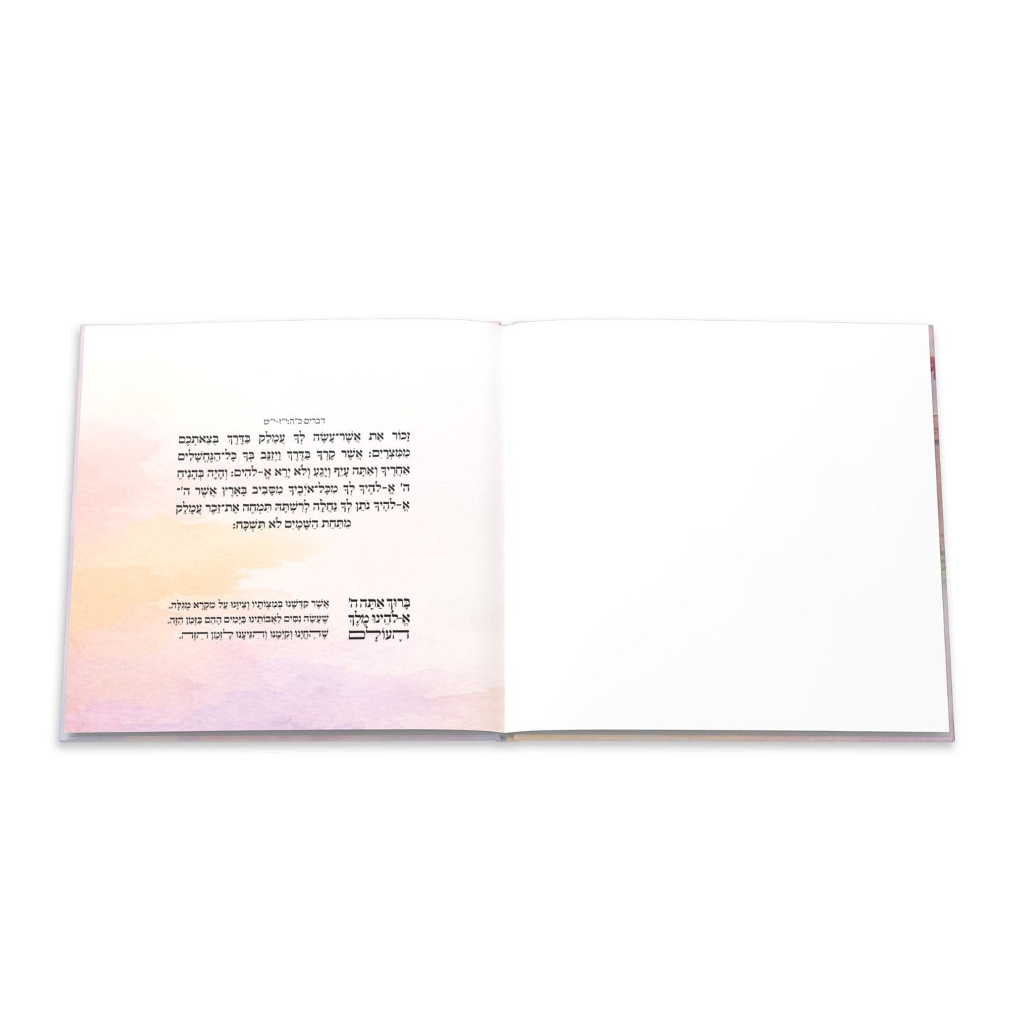 Illustrated Megillat Esther | Whimsical Hardcover Megilla