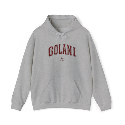Golani Hoodie - Vintage Customize & Show your IDF pride!