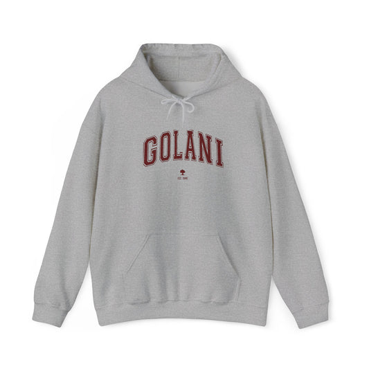 Golani Hoodie - Vintage Customize & Show your IDF pride!