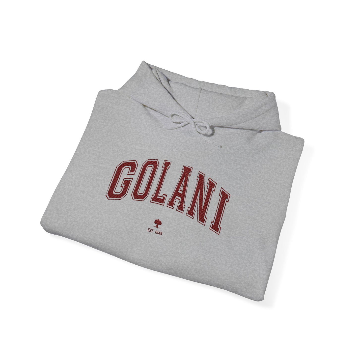 Golani Hoodie - Vintage Customize & Show your IDF pride!