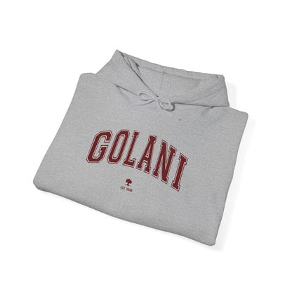 Golani Hoodie - Vintage Customize & Show your IDF pride!