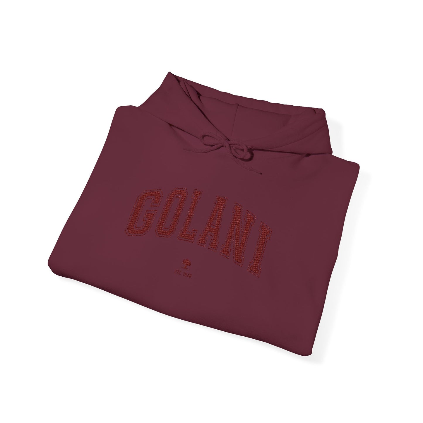 Golani Hoodie - Vintage Customize & Show your IDF pride!